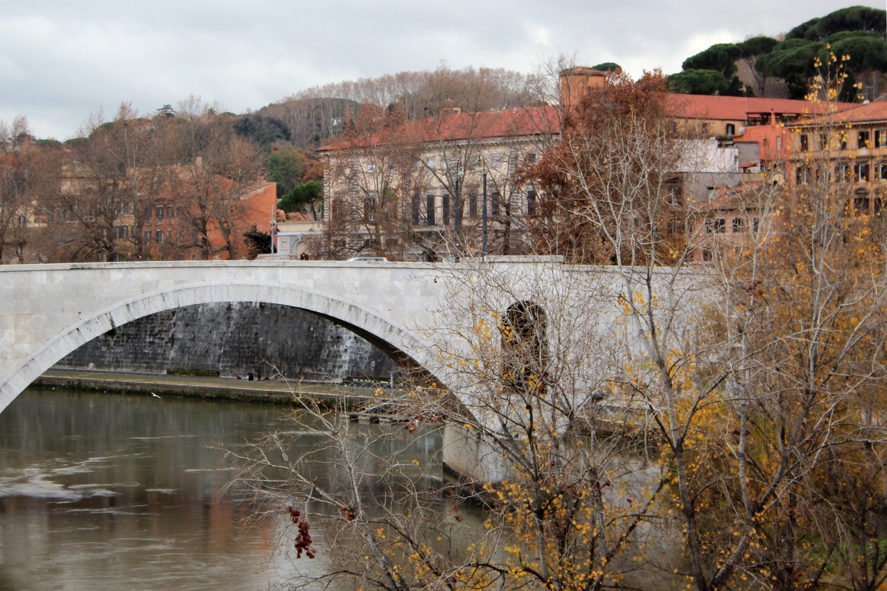 Italy (Jan 2012) 239.jpg